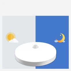 Voice activated ceiling light day and night mode display