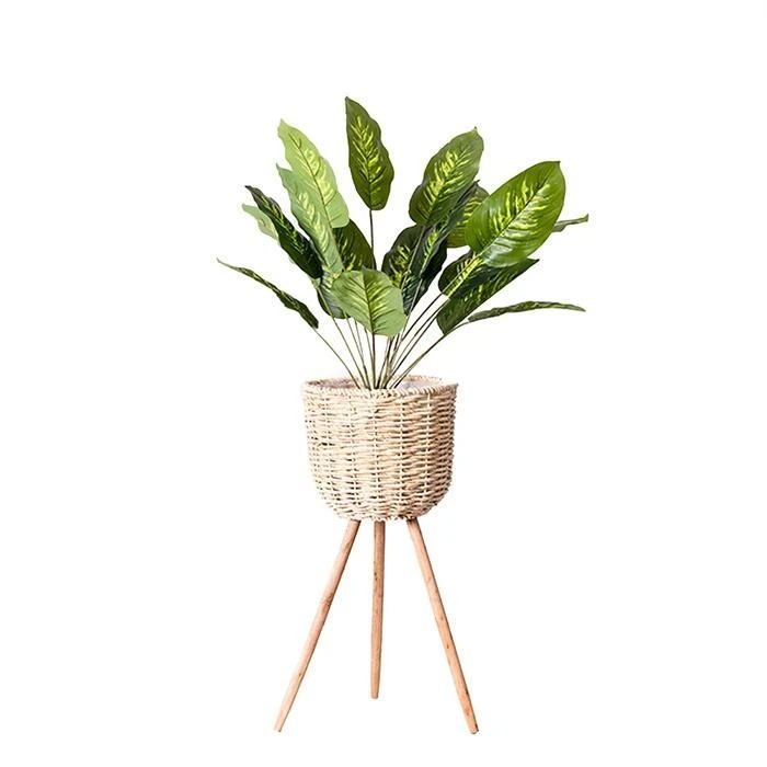 Large woven straw standing planter with a tall leafy plant in a home entryway

