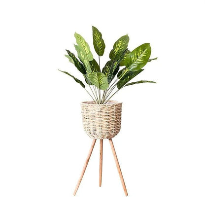 Large woven straw standing planter with a tall leafy plant in a home entryway
