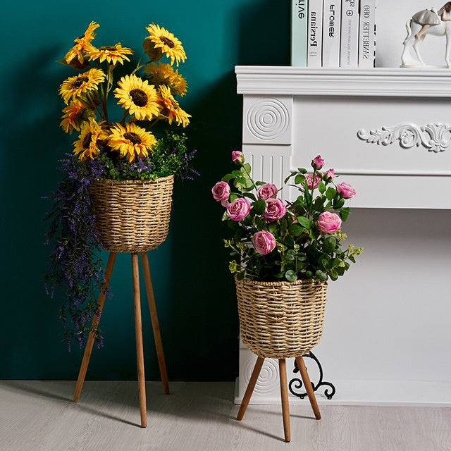 Large natural woven straw floor flower pot with a tall plant in a modern living room corner
